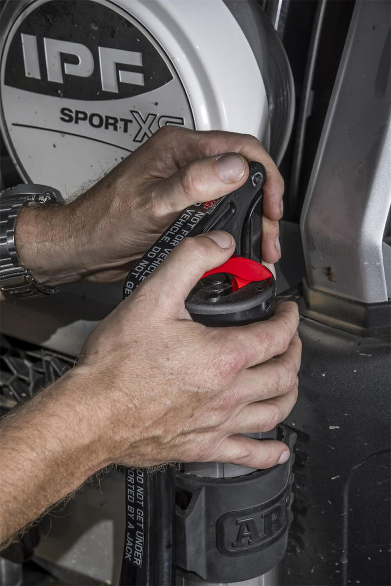 Load image into Gallery viewer, Photo - Close Up