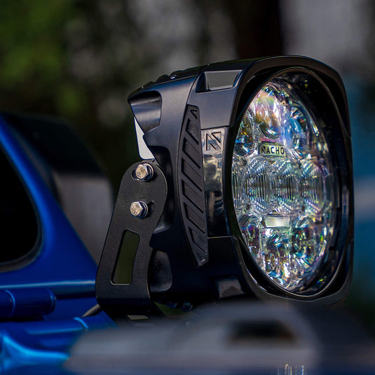 Nacho Grande Window Shades