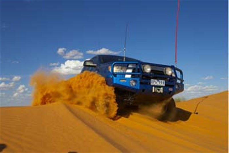 Load image into Gallery viewer, Photo - Primary