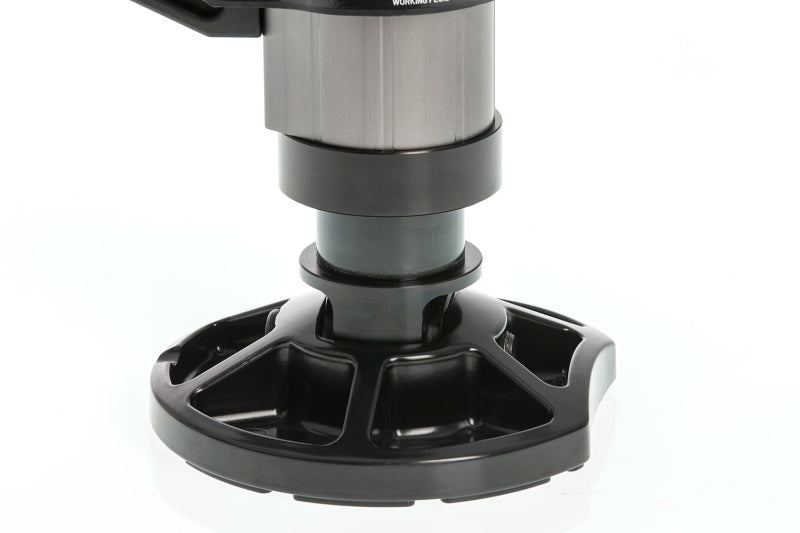 Load image into Gallery viewer, Photo - Close Up
