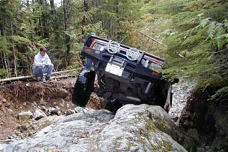 Load image into Gallery viewer, Photo - Primary
