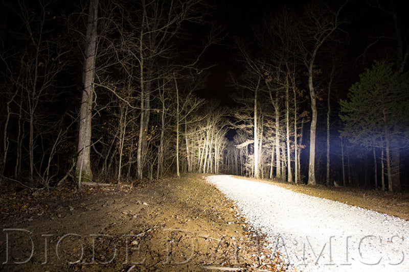 Load image into Gallery viewer, User 5
