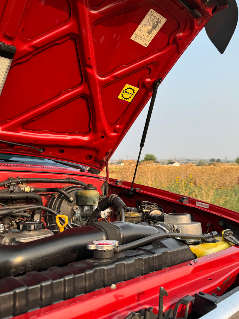 Load image into Gallery viewer, Close view of an installed Spiker hood strut
